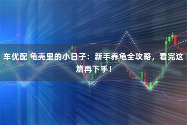 车优配 龟壳里的小日子：新手养龟全攻略，看完这篇再下手！