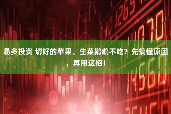 易多投资 切好的苹果、生菜鹦鹉不吃？先搞懂原因，再用这招！