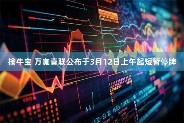 擒牛宝 万咖壹联公布于3月12日上午起短暂停牌