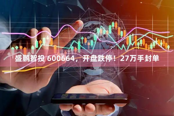 盛鹏智投 600664，开盘跌停！27万手封单